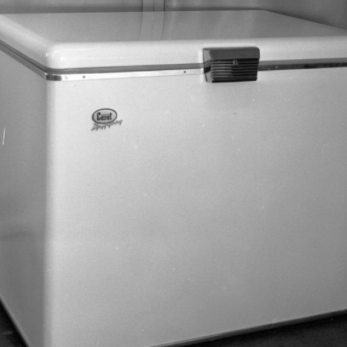 O femeie din Tokyo a păstrat cadavrul fiicei douăzeci de ani în congelator